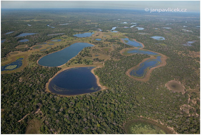 Pantanal 6 týdnů po  období dešťů