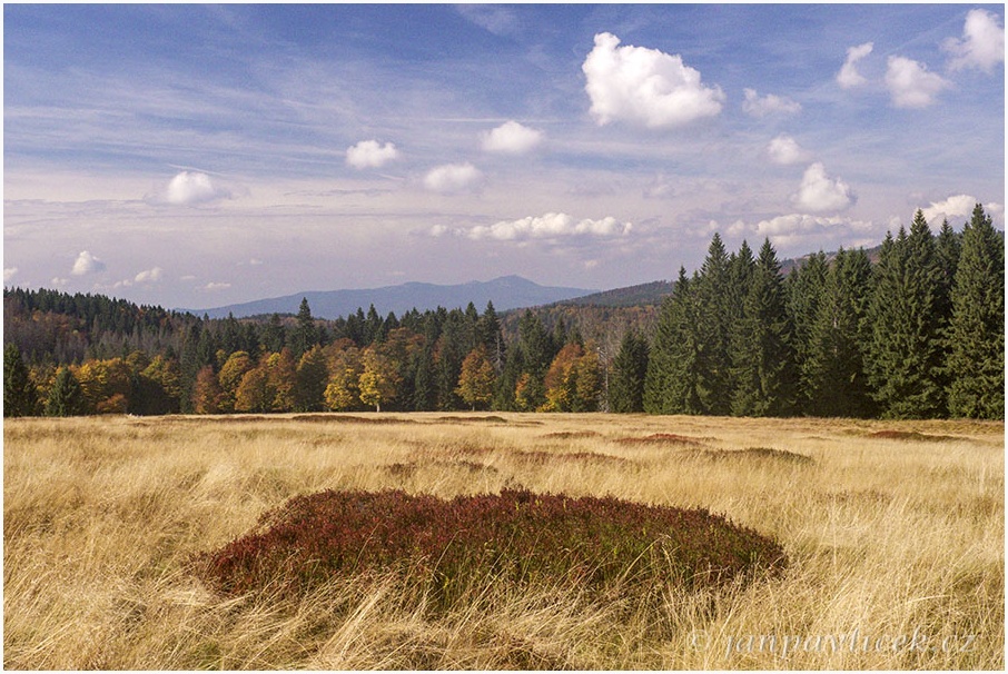 Pastviny Hochschachten (1165 m) , v pozadí Velký Javor (1 456 m)