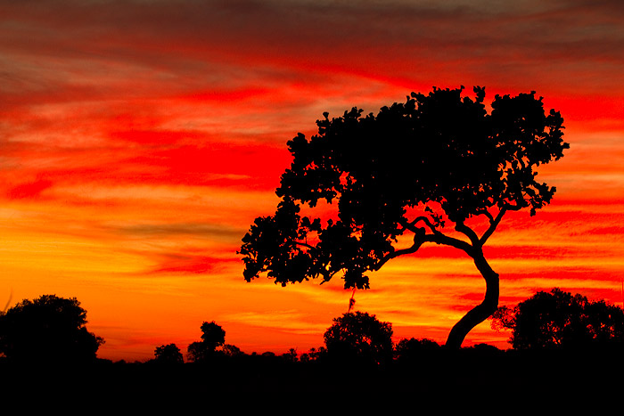 Západ slunce v Pantanalu