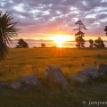 Jezero Taupo, západ slunce | fotografie