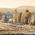 Kvilda v podzimních barvách, od Jezerního potoka | fotografie