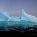 Ledová velryba, Ostrov Cuverville Island,  Antarktida | fotografie