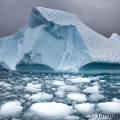 Ledovec , ostrov Cuverville Island,  Antarktida | fotografie