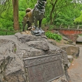 PES  BALTO - CENTRAL  PARK, NYC | fotografie