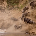 Přechod řeky Mara | fotografie