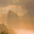 Sluneční paprsky v mlze | fotografie