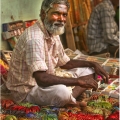Trhovec, Indie | fotografie