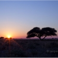 Východ slunce na Kalahari | fotografie