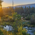 VÝCHOD SLUNCE NAD  MOKŘADY  SNAKE RIVER OD MOOSE-WILSON  ROAD | fotografie