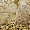 Židovský hřbitov Čkyně | fotografie